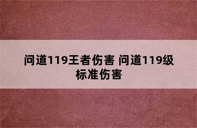 问道119王者伤害 问道119级标准伤害